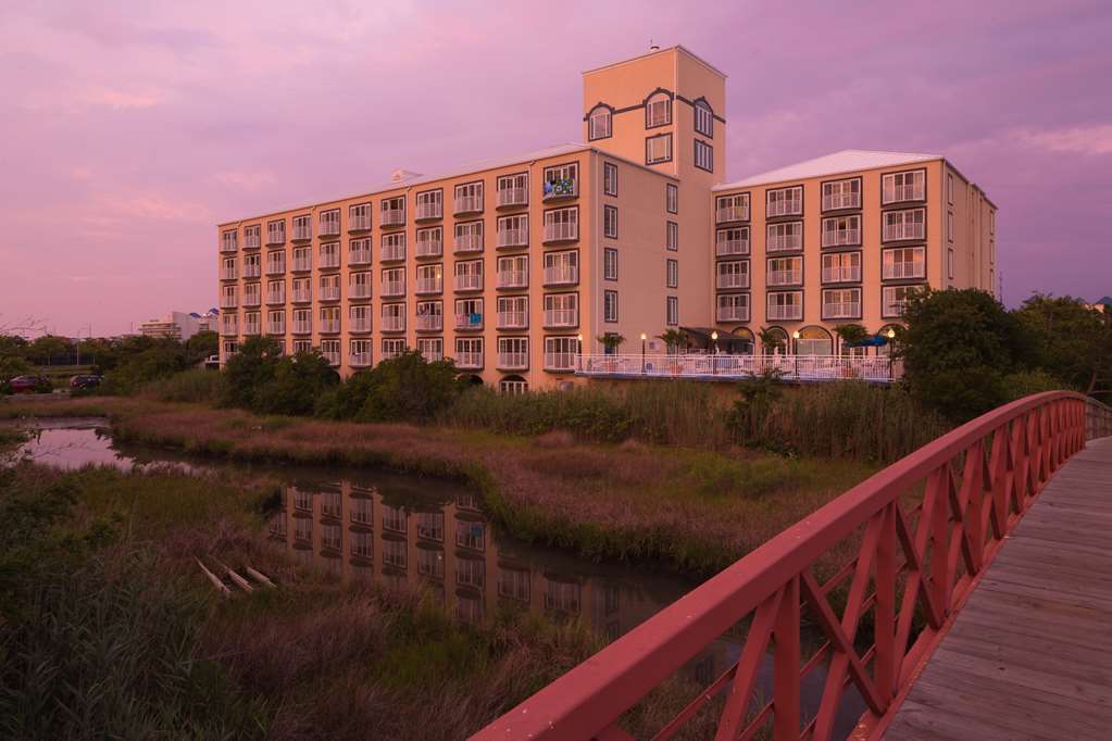 Coconut Malorie Resort Hotel, Ascend Hotel Collection Ocean City Esterno foto