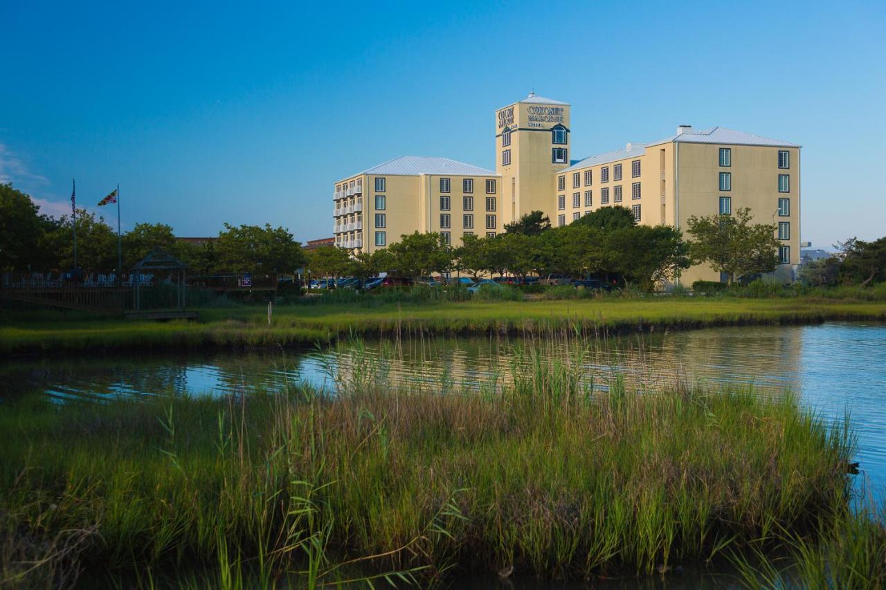 Coconut Malorie Resort Hotel, Ascend Hotel Collection Ocean City Esterno foto